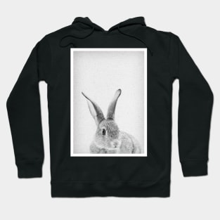 Rabbit 33 Hoodie